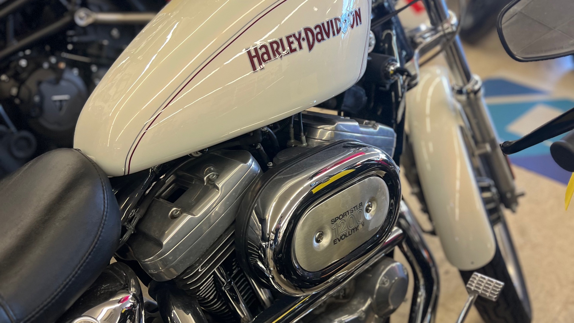2000 Harley-Davidson® XL 1200 SPORTSTER - Photo 3