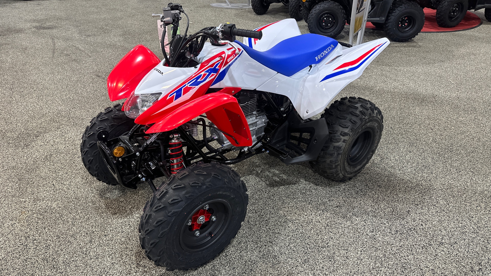 2026 Honda TRX® 250X for Sale | Smith Brothers Powersports