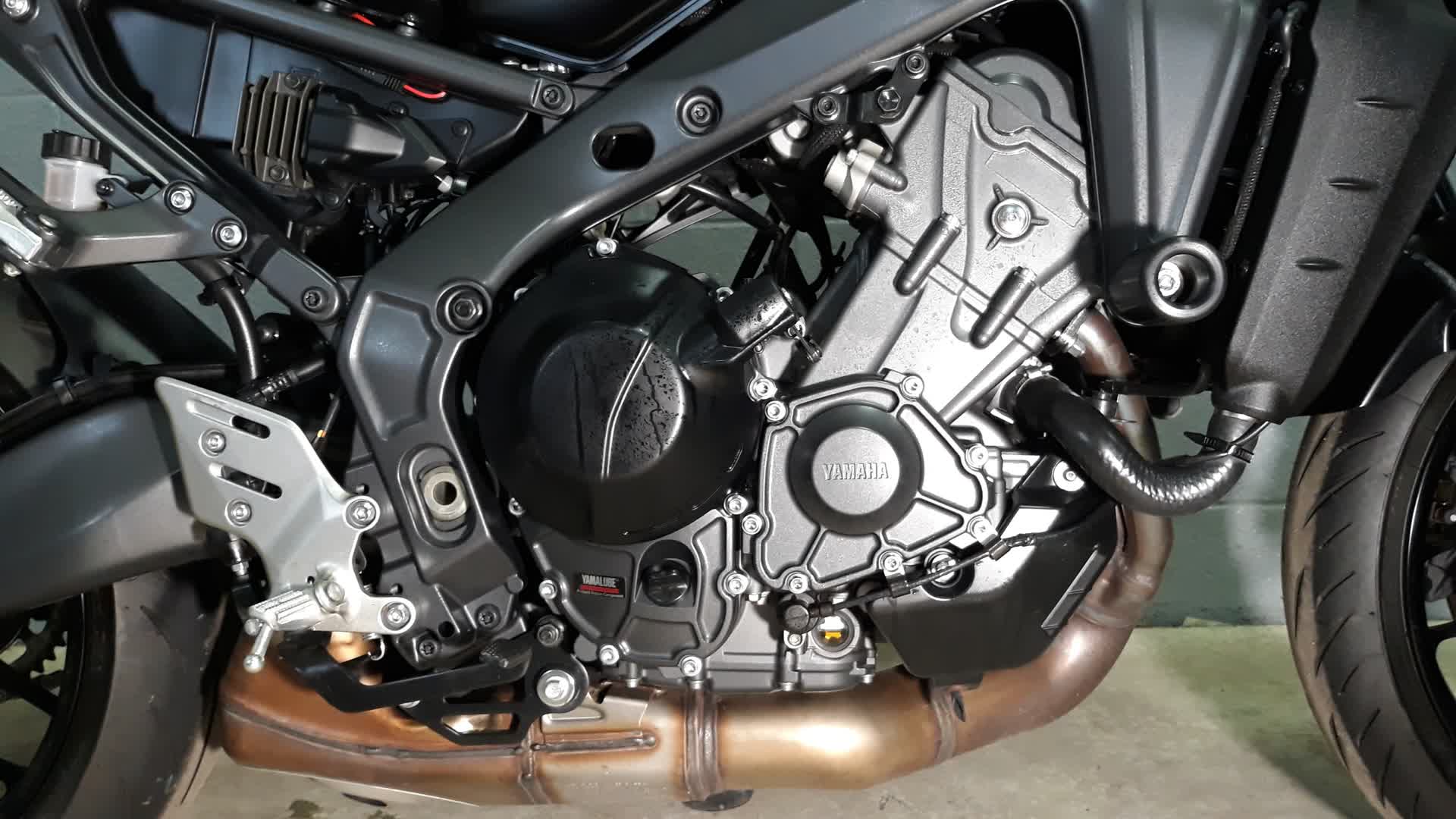 2023 Yamaha MT 09 for Sale
